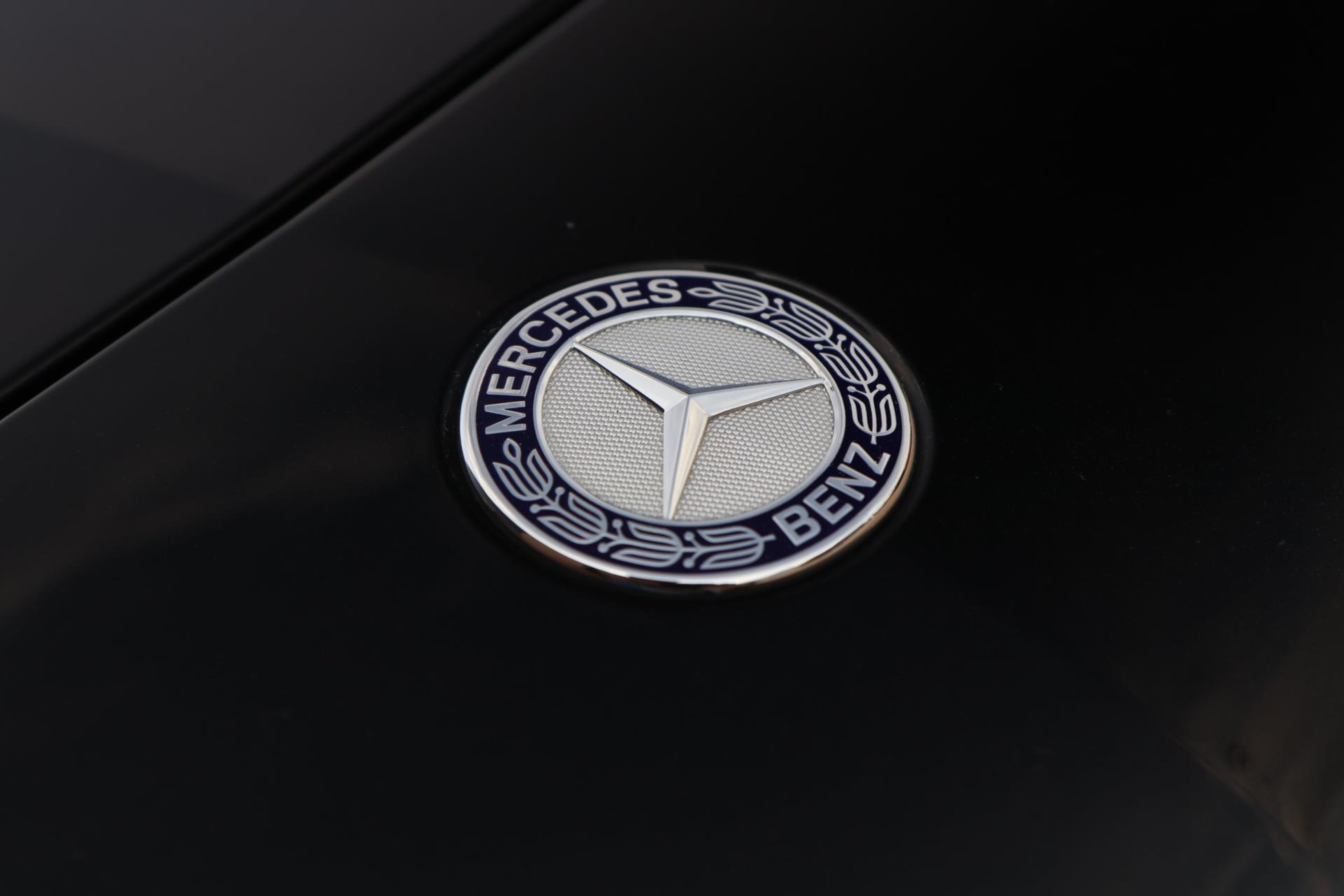 46901709-23.jpg